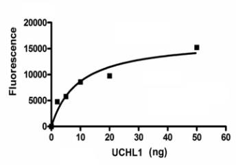 Activity Data (UCHL1-8938H).jpg